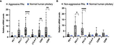 The Upregulation of Molecules Related to Tumor Immune Escape in Human Pituitary Adenomas